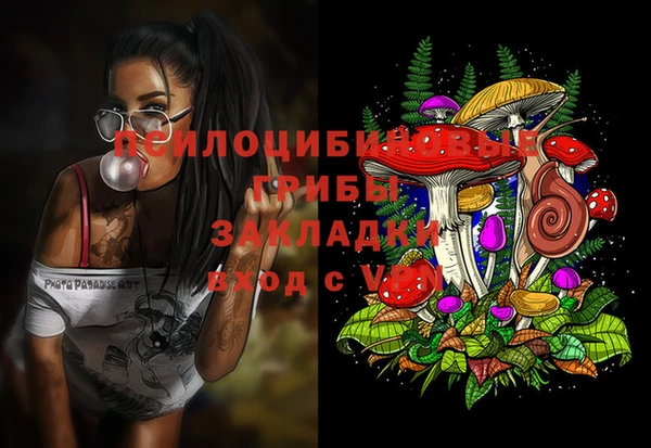 крисы Алексеевка