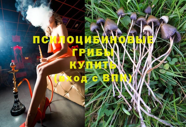 крисы Алексеевка