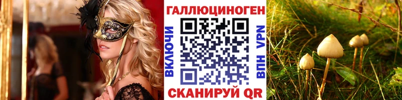 Галлюциногенные грибы Psilocybine cubensis  Мензелинск 